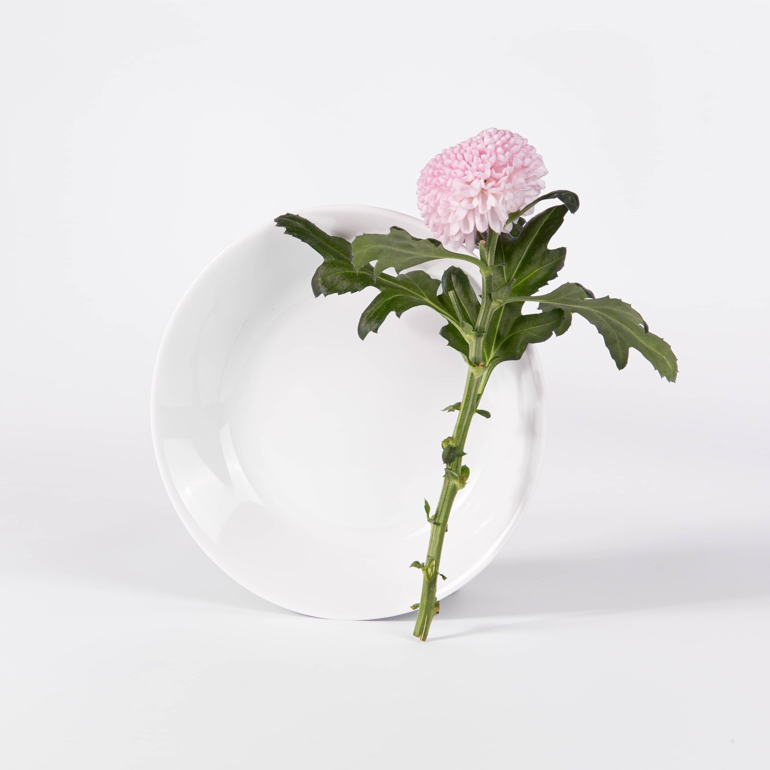ogre-la-fabrique-essentielle-assiette-creuse-blanche-limoges-19-cm image 1
