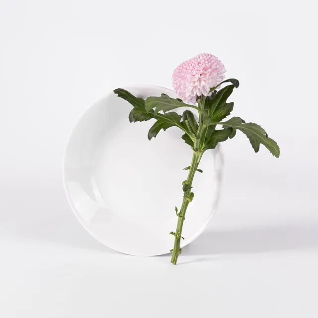 ogre-la-fabrique-essentielle-assiette-creuse-blanche-limoges-19-cm image 1