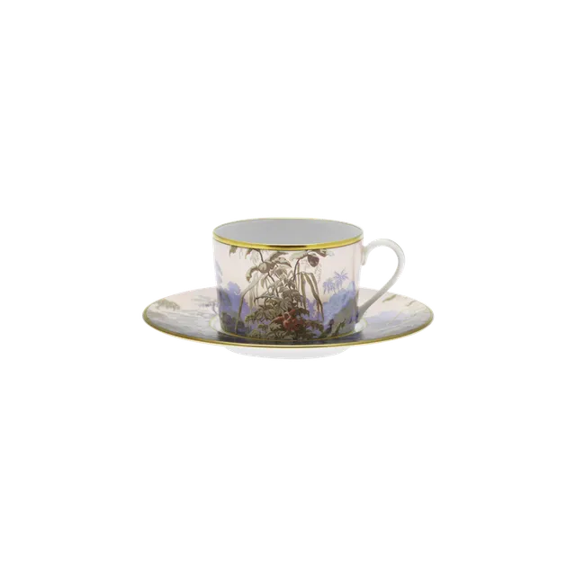 haviland-le-br-sil-tasse-d-jeuner-soucoupe-porcelaine-limoges image 1