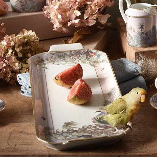haviland-le-br-sil-plat-cake-porcelaine-d-cor-zuber image 2