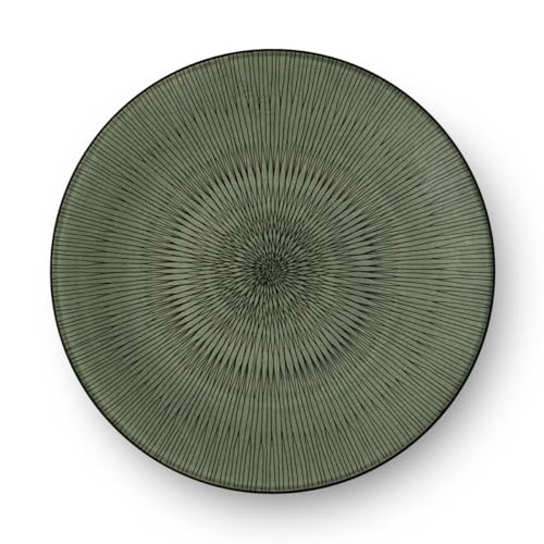 m-dard-de-noblat-hypnose-kaki-assiette-plate-27-cm-gr-s-lot-6-vert image 5