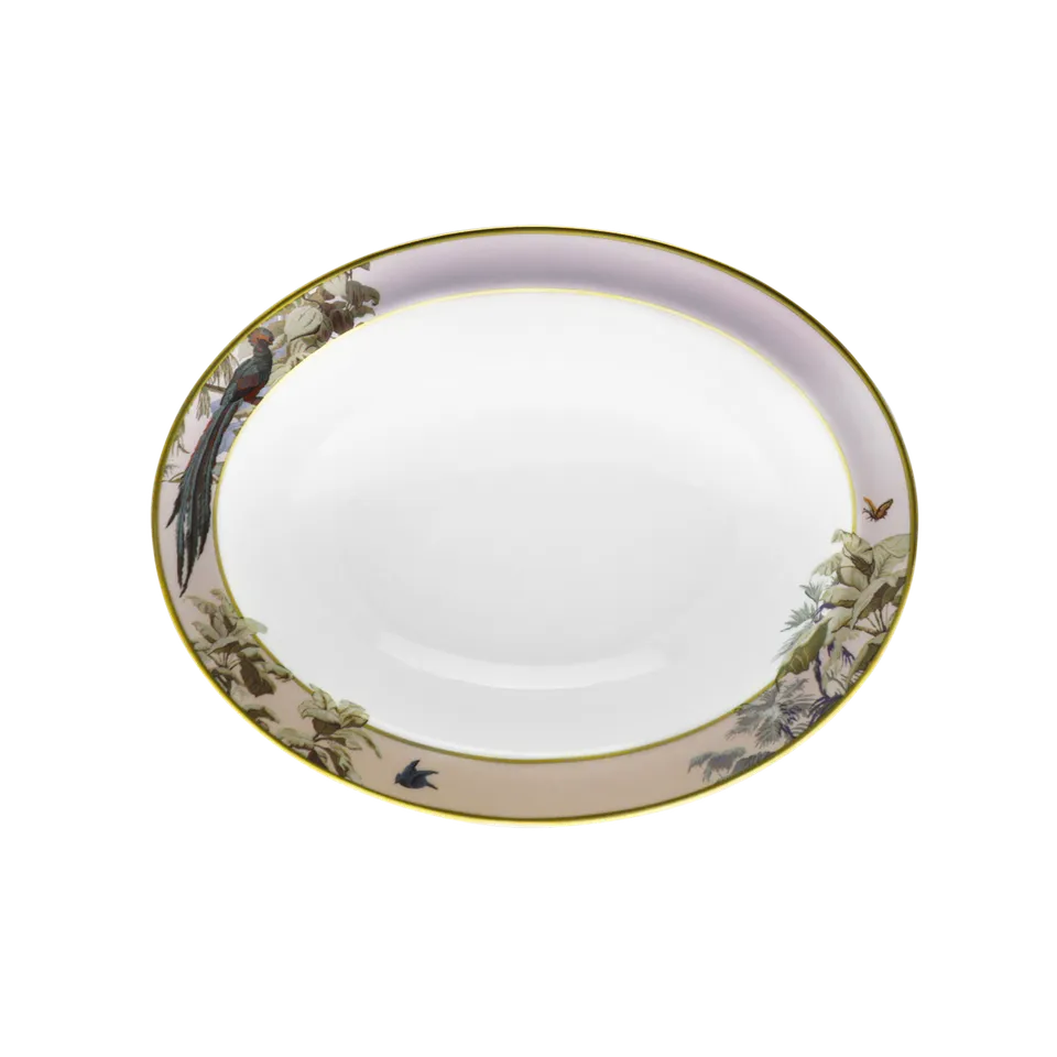 haviland-le-br-sil-compotier-porcelaine-manufacture-zuber image 1