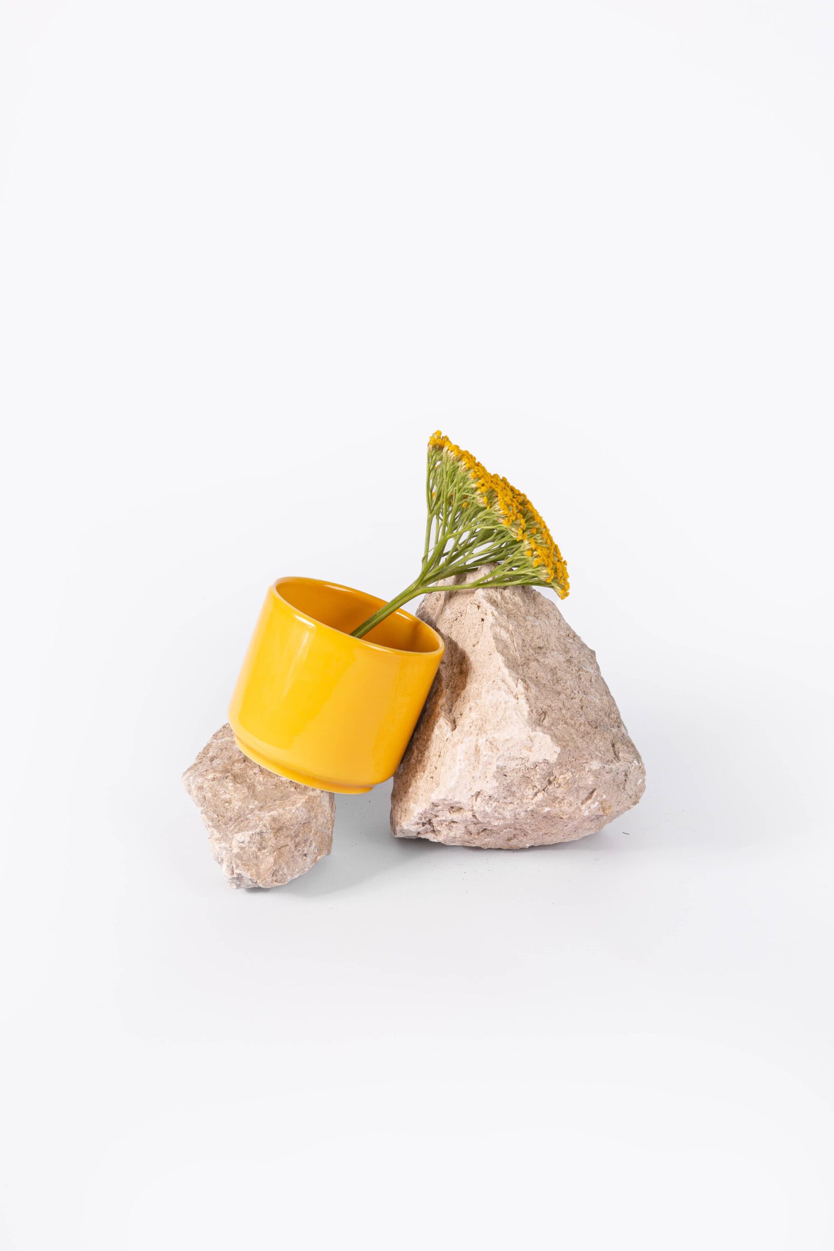 ogre-la-fabrique-mug-tasse-porcelaine-jaune-moutarde-70-mm image 1