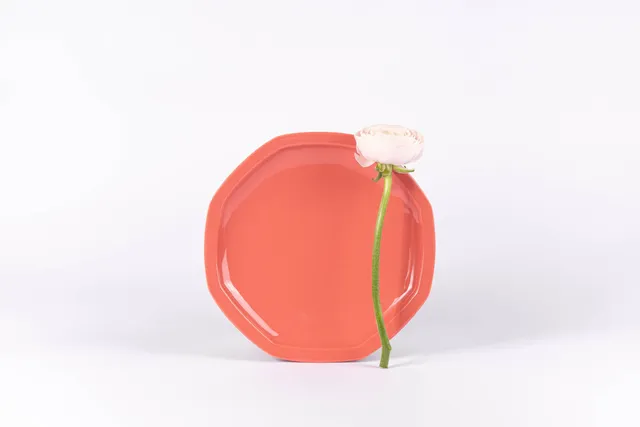ogre-la-fabrique-intemporelle-assiette-plate-porcelaine-terracotta-24-5-cm image 1