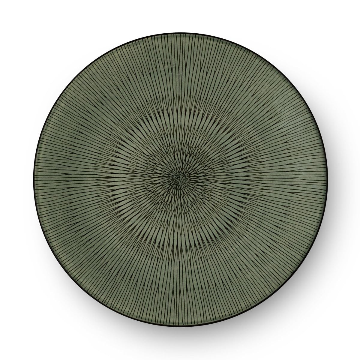 m-dard-de-noblat-hypnose-kaki-assiette-plate-27-cm-gr-s-lot-6-vert image 1