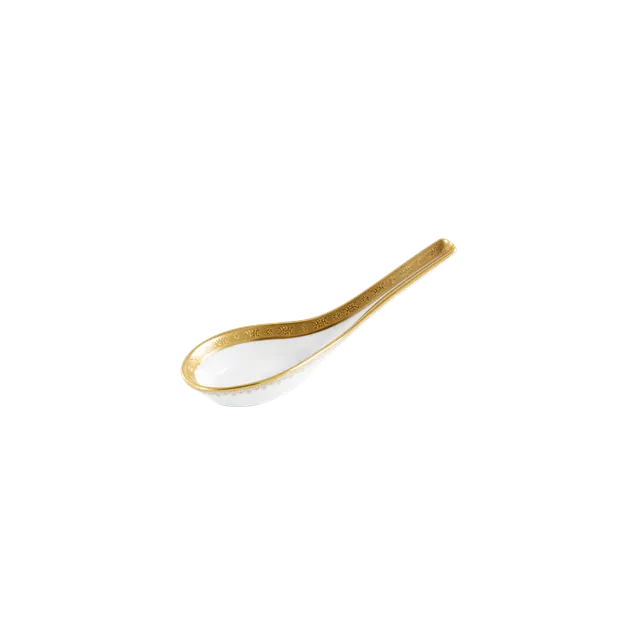 haviland-diplomate-cuill-re-chinoise-porcelaine-blanche image 1