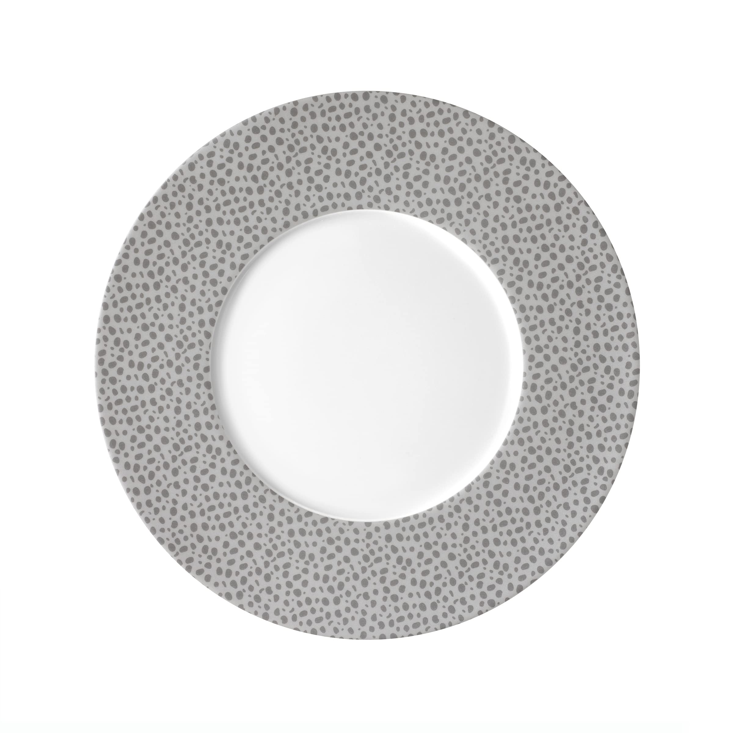 m-dard-de-noblat-baghera-assiette-plate-27-cm-lot-6-platine-porcelaine image 1