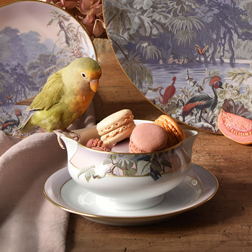 haviland-le-br-sil-sauci-re-porcelaine-d-cor-zuber image 2