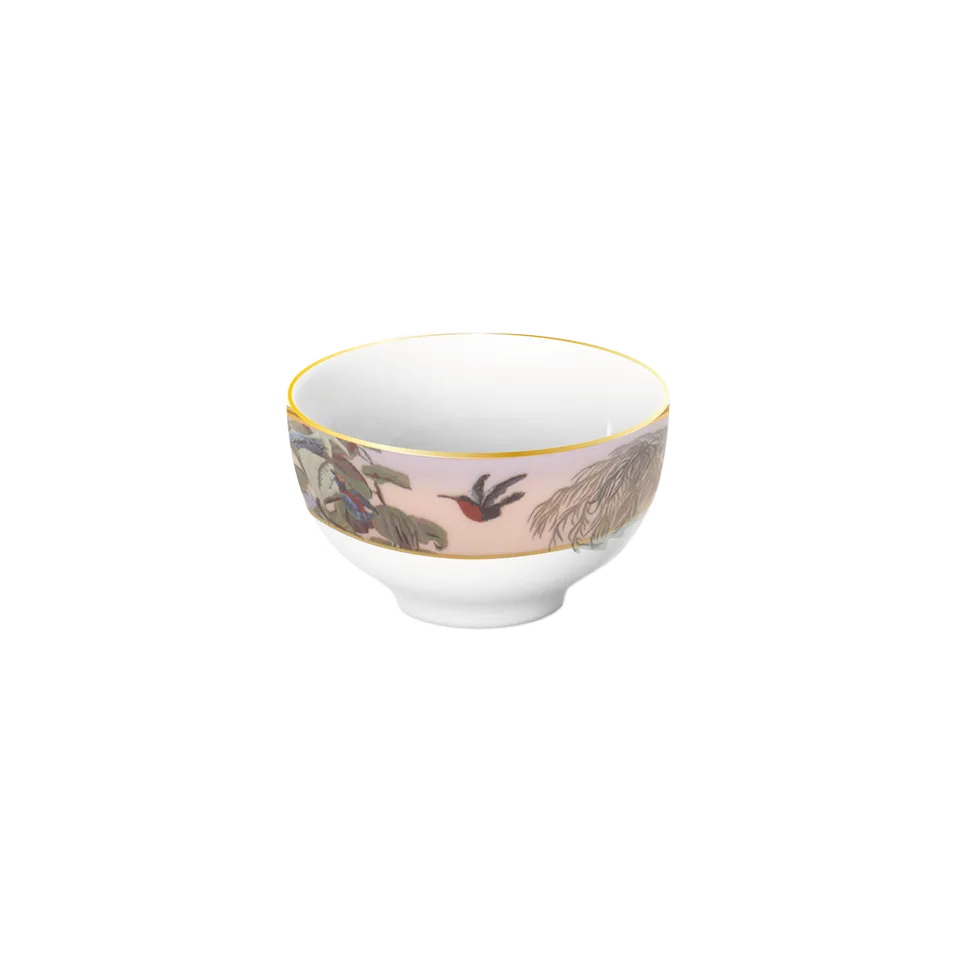 haviland-le-br-sil-bol-curry-zuber-porcelaine image 1