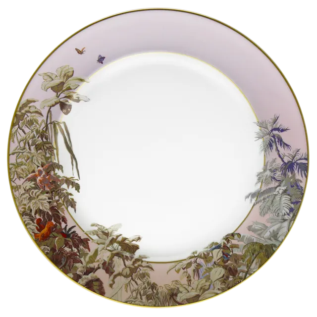 haviland-le-br-sil-plat-rond-porcelaine-de-limoges image 1