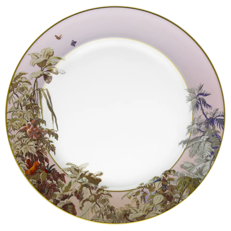 haviland-le-br-sil-plat-rond-porcelaine-de-limoges image 1