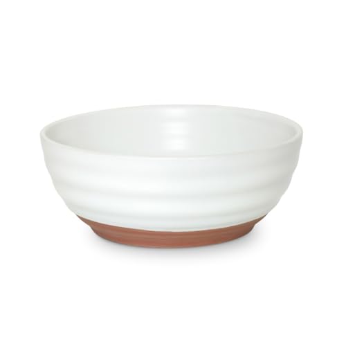 m-dard-de-noblat-fuji-poke-bowl-1-l-terracotta-lot-de-4 image 8