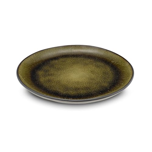 m-dard-de-noblat-nomad-assiette-plate-27-cm-lot-de-6-gr-s image 5