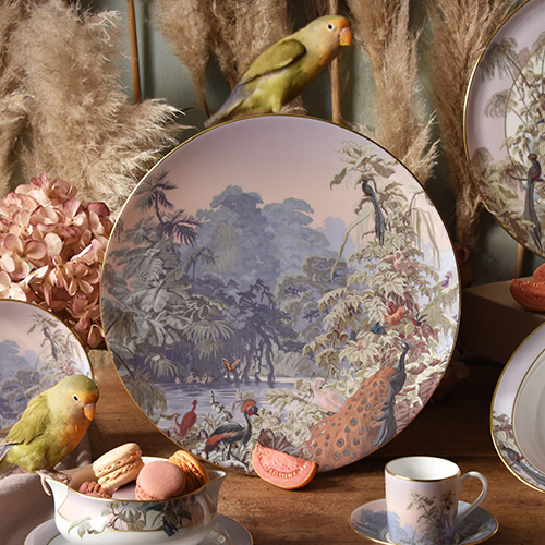 haviland-le-br-sil-assiette-pr-sentation-porcelaine-zuber image 2