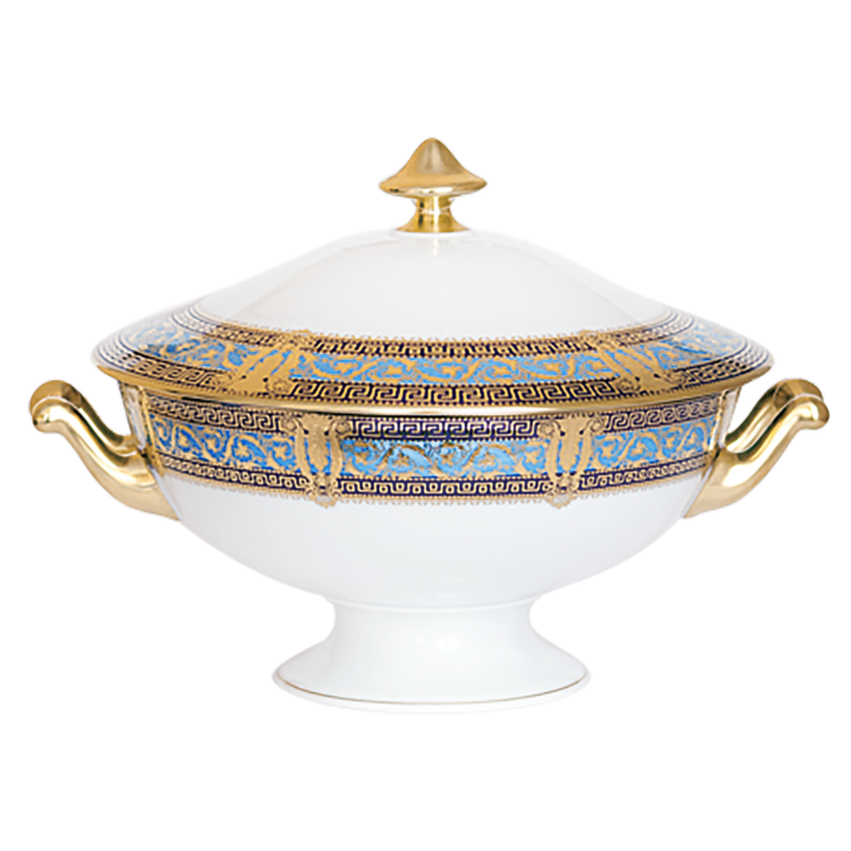 haviland-salon-murat-soupi-re-porcelaine-bleu-ciel-et-or image 1