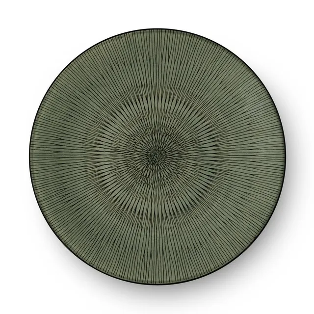 m-dard-de-noblat-hypnose-kaki-assiette-plate-27-cm-gr-s-lot-6-vert image 1