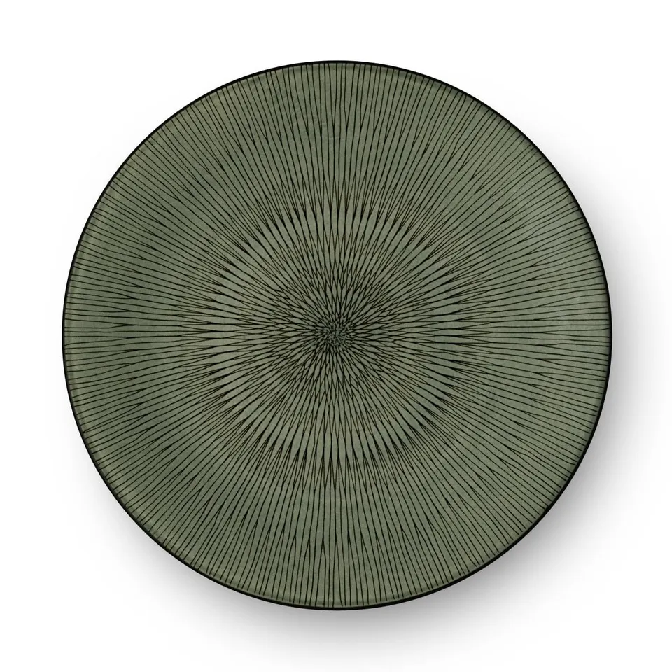 m-dard-de-noblat-hypnose-kaki-assiette-plate-27-cm-gr-s-lot-6-vert image 1