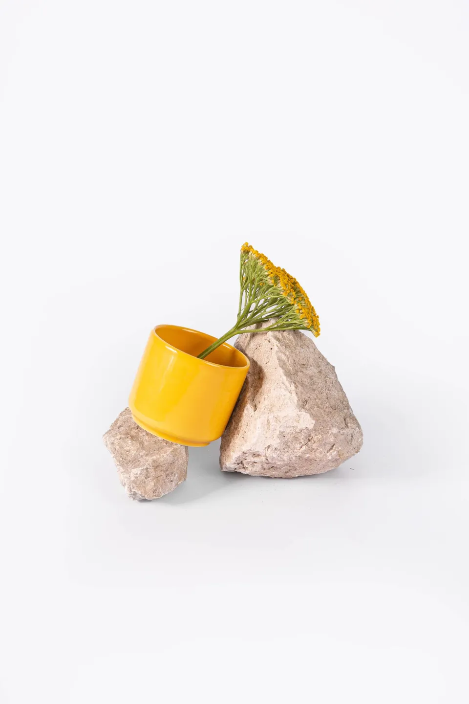ogre-la-fabrique-mug-tasse-porcelaine-jaune-moutarde-70-mm image 1