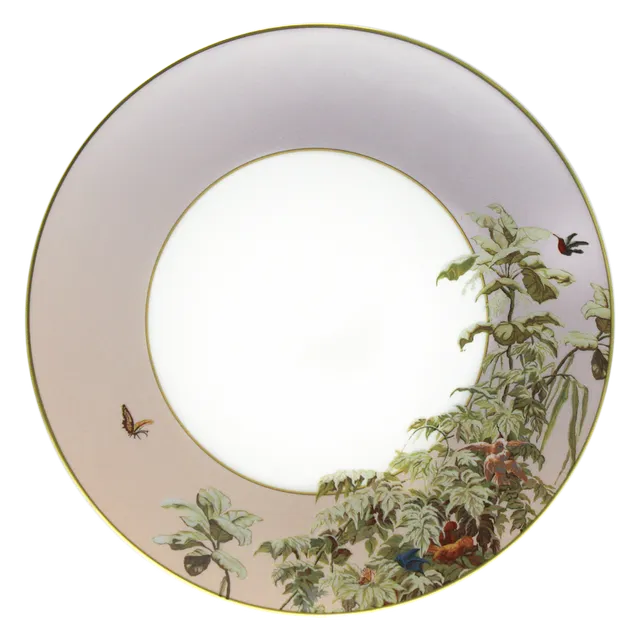 haviland-le-br-sil-assiette-d-ner-porcelaine-zuber image 1