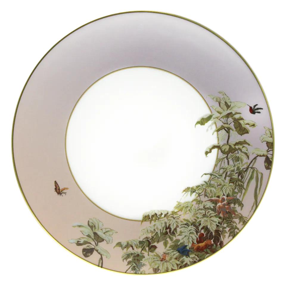 haviland-le-br-sil-assiette-d-ner-porcelaine-zuber image 1