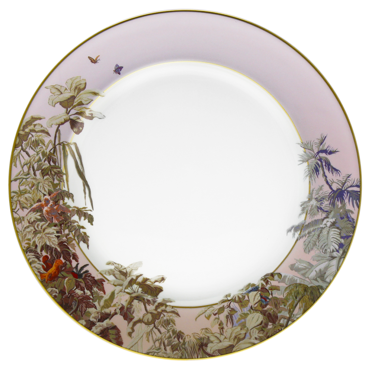 haviland-le-br-sil-plat-rond-porcelaine-de-limoges image 1