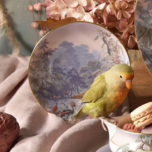 haviland-le-br-sil-assiette-pain-porcelaine image 2