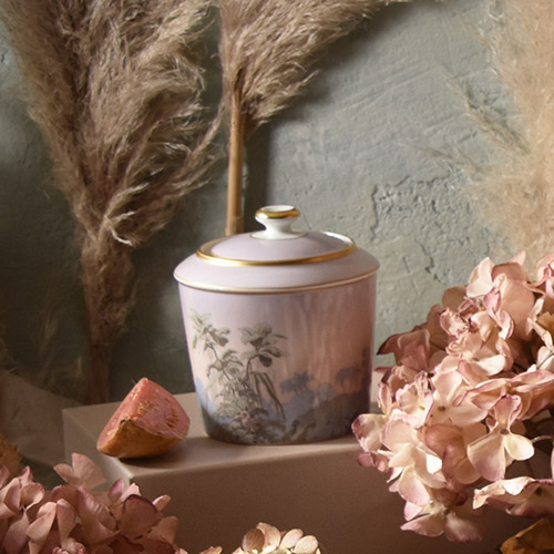 haviland-le-br-sil-sucrier-porcelaine-avec-couvercle image 2