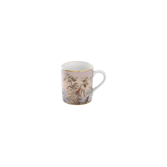 haviland-le-br-sil-mug-porcelaine-manufacture-zuber image 1