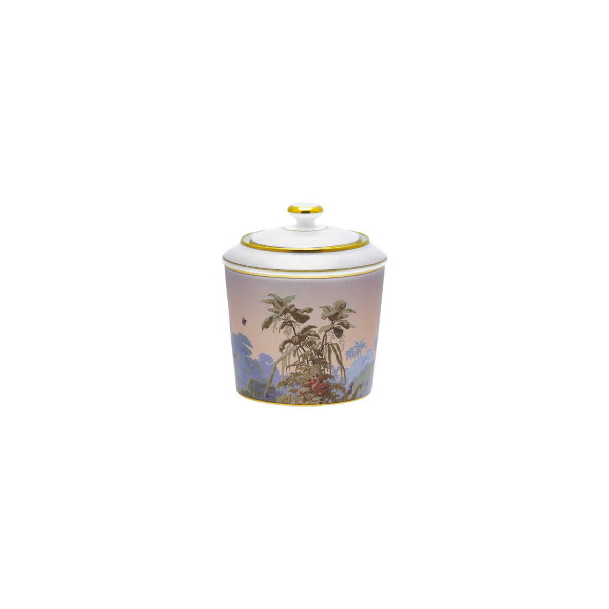 haviland-le-br-sil-sucrier-porcelaine-avec-couvercle image 1
