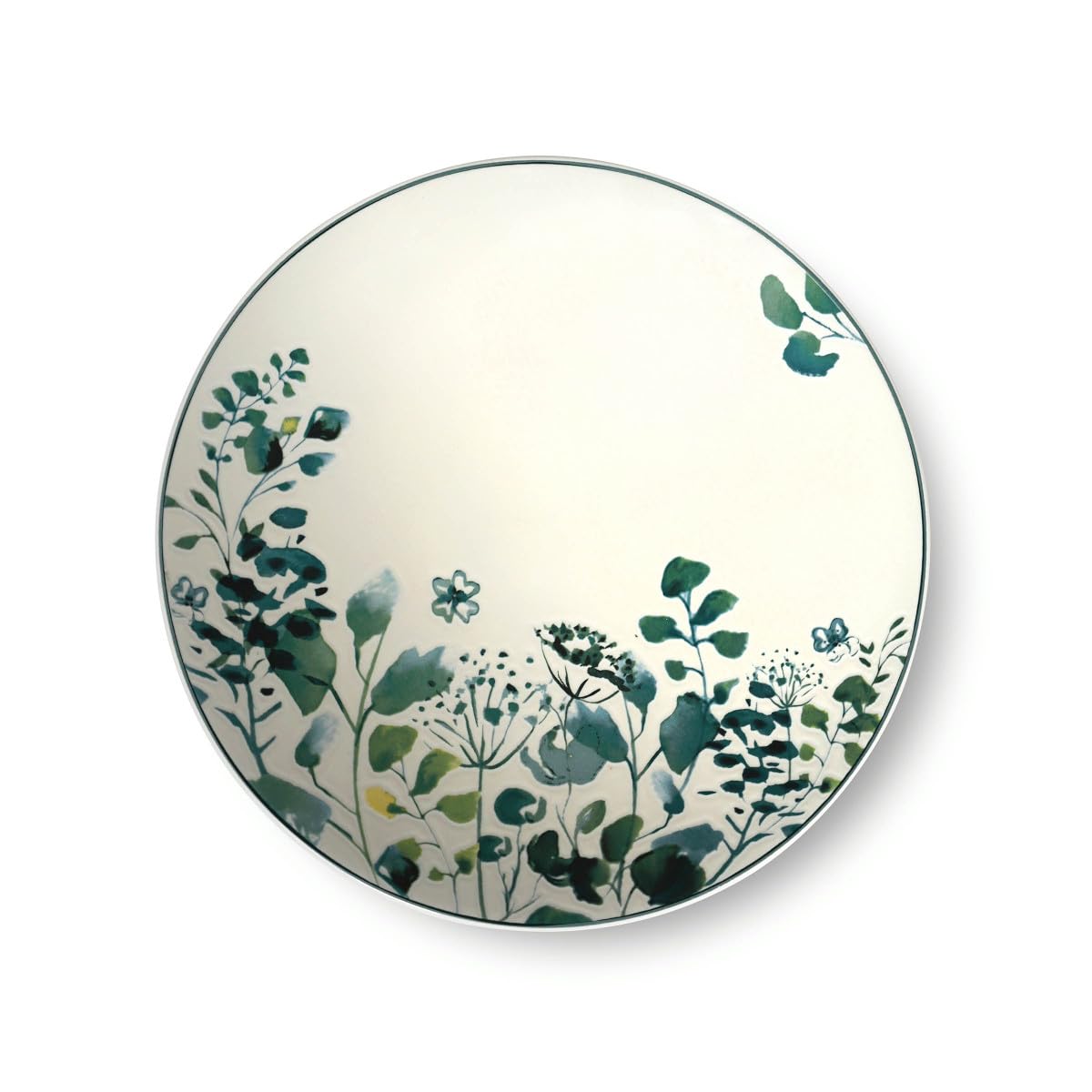 m-dard-de-noblat-oxalis-assiettes-dessert-21-cm-blanc-vert-lot-6 image 1