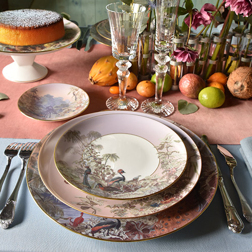 haviland-le-br-sil-assiette-d-ner-porcelaine-zuber image 2