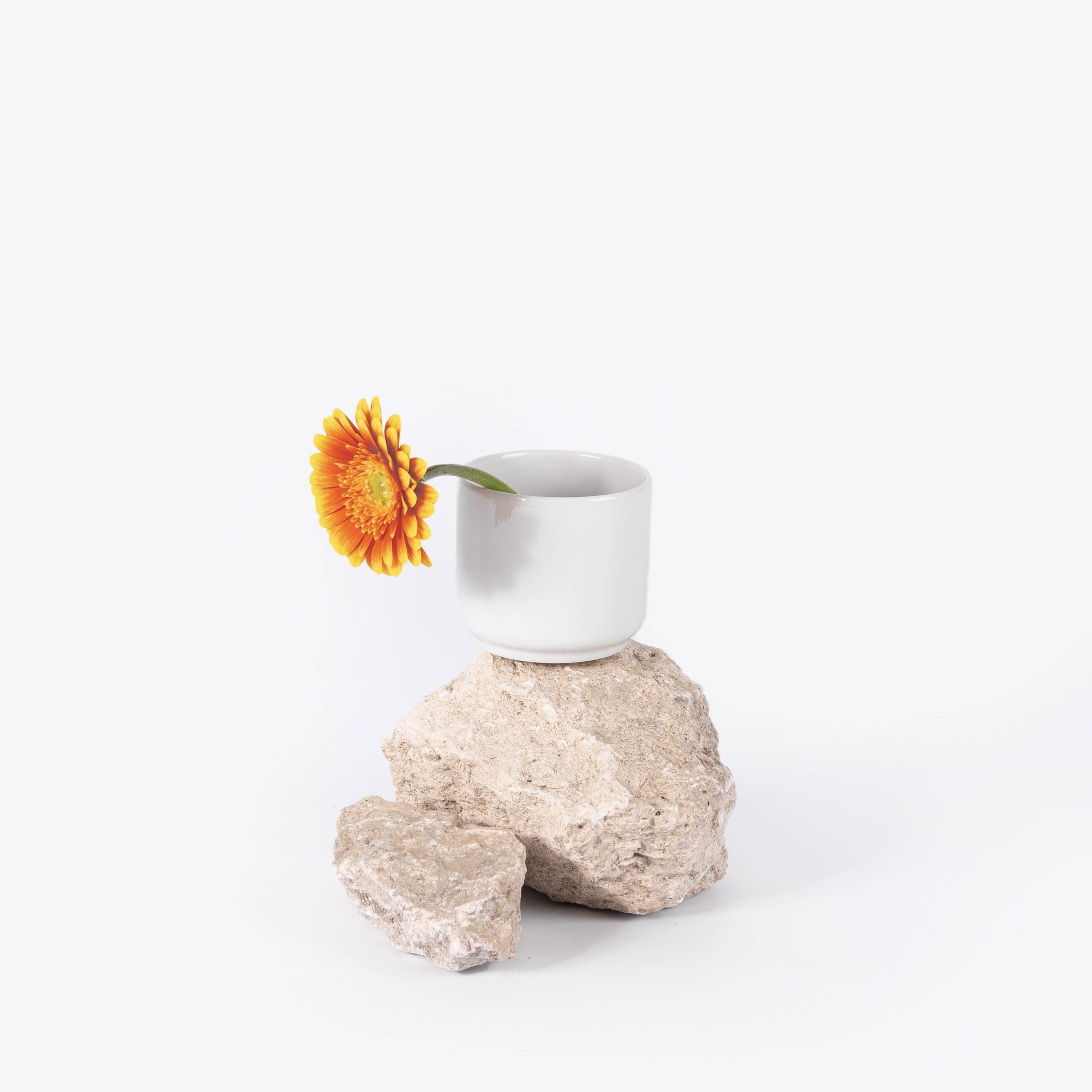 ogre-la-fabrique-nos-tasses-tasse-porcelaine-blanche-sans-anse image 1