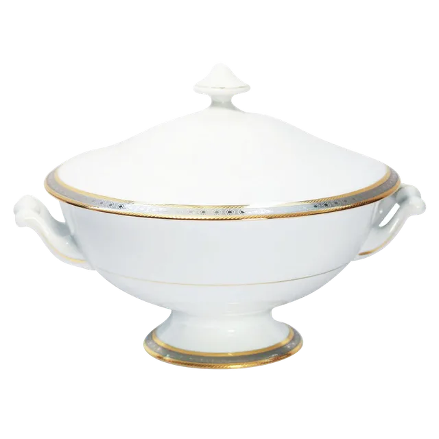 haviland-place-vend-me-soupi-re-porcelaine-de-limoges image 1