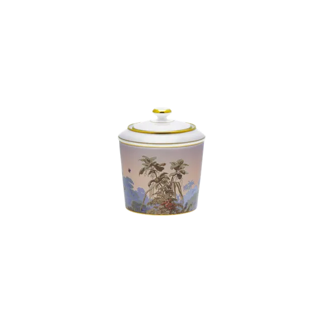 haviland-le-br-sil-sucrier-porcelaine-avec-couvercle image 1