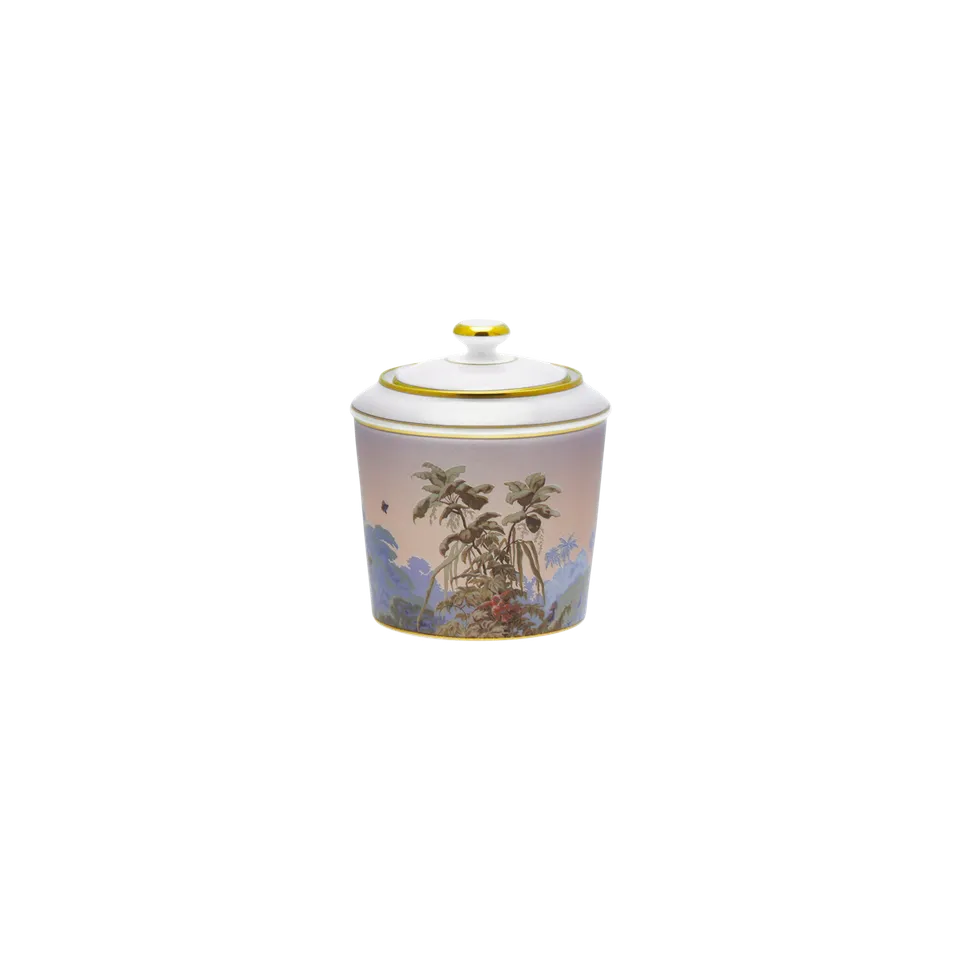 haviland-le-br-sil-sucrier-porcelaine-avec-couvercle image 1