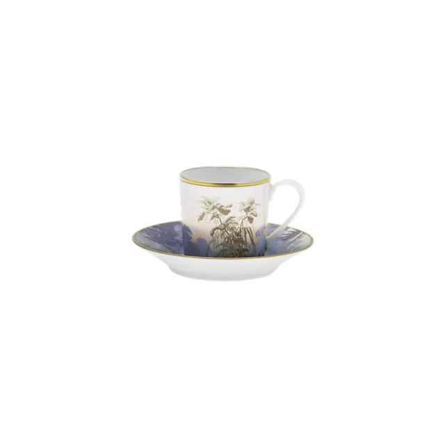 haviland-le-br-sil-tasse-caf-porcelaine-avec-soucoupe image 1