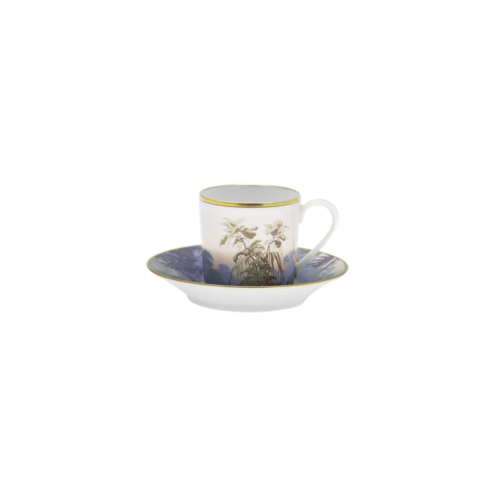 haviland-le-br-sil-tasse-caf-porcelaine-avec-soucoupe image 1