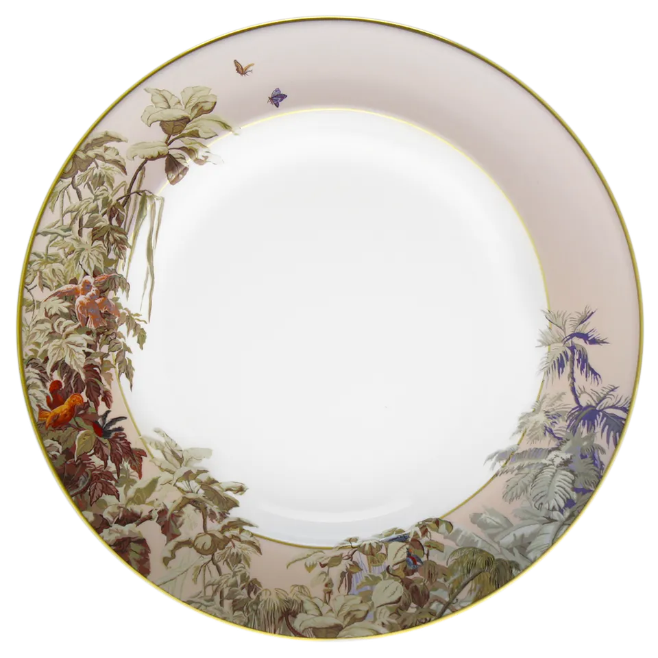 haviland-le-br-sil-plat-rond-creux-porcelaine-zuber image 1
