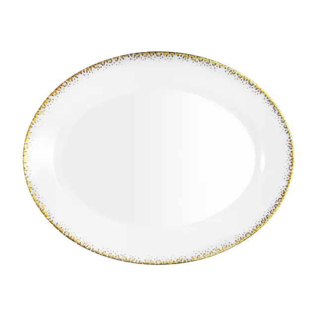 haviland-souffle-d-or-plat-ovale-porcelaine-limoges image 1
